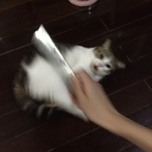 有话好好说，别动刀动枪