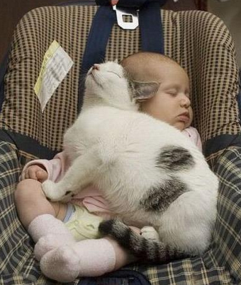 好吧，你俩睡的这么香，不叫你俩了