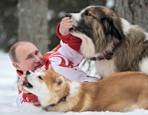 女孩虽家境贫寒但渴望养狗 普京亲自给女孩送狗