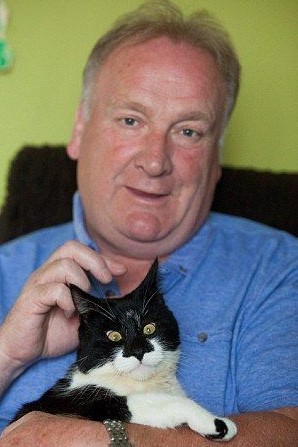 呆萌小猫摔伤变斗鸡眼 因视力障碍险走丢