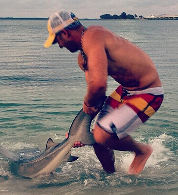 男子徒手抓鲨鱼后放生 呼吁人们保护鲨