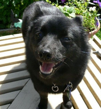 undefined{{pos:,w:,h:}}