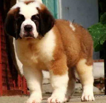 undefined{{pos:,w:,h:}}