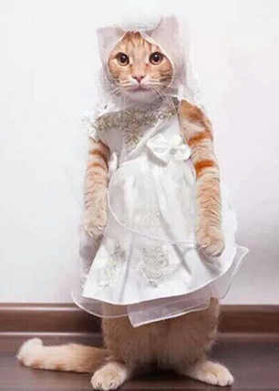 看我穿的裙子好看么