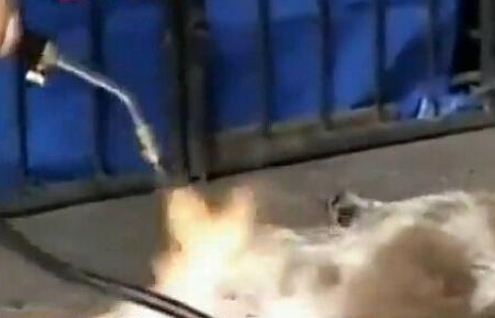 undefined{{pos:,w:,h:}}