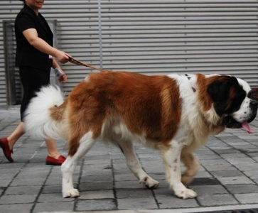 undefined{{pos:,w:,h:}}