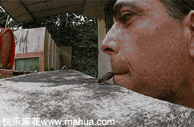 好霸气的一只蜥蜴呀！