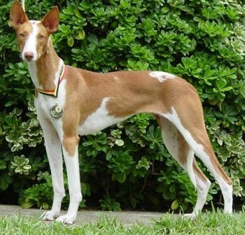 undefined{{pos:,w:,h:}}