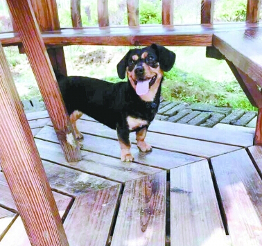 undefined{{pos:,w:,h:}}