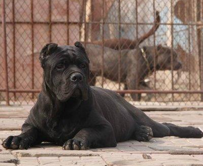 undefined{{pos:,w:,h:}}