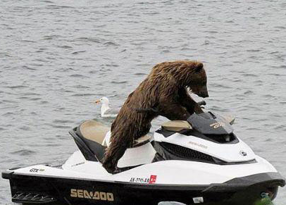 看人类玩得那么high，我也试试