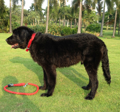 undefined{{pos:,w:,h:}}