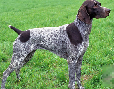 undefined{{pos:,w:,h:}}