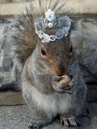 瞬间找到了王一般的感觉