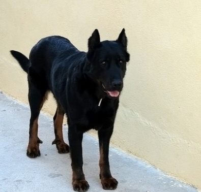 undefined{{pos:,w:,h:}}