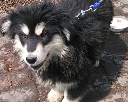 undefined{{pos:,w:,h:}}