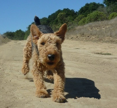 undefined{{pos:,w:,h:}}