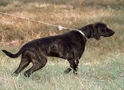 undefined{{pos:,w:,h:}}