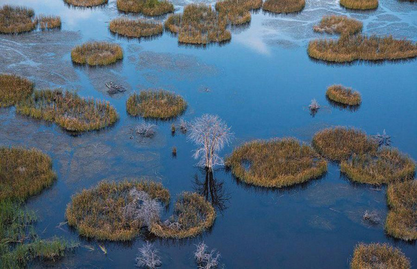 undefined{{pos:,w:,h:}}