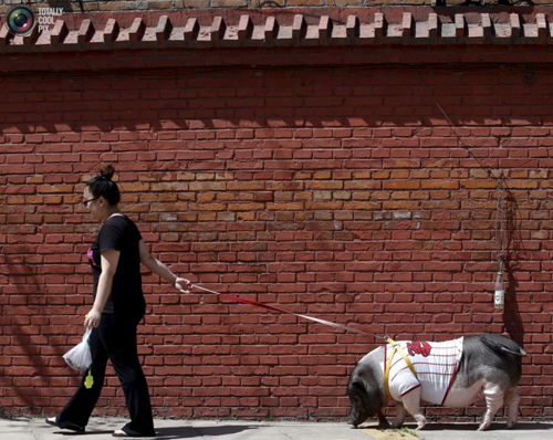 undefined{{pos:,w:,h:}}