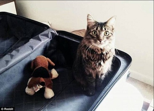 undefined{{pos:,w:,h:}}