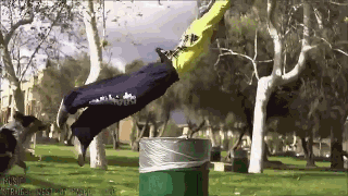  主人带我装逼带我飞