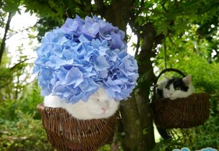 叔引领时尚潮流