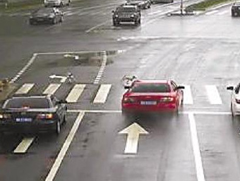 狗狗闯红灯被撞 所幸只是轻伤赔千元