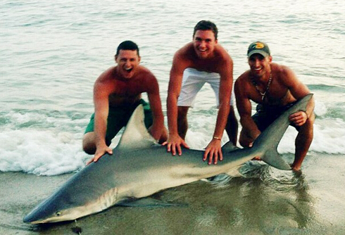 男子徒手抓鲨鱼后放生 呼吁人们保护鲨