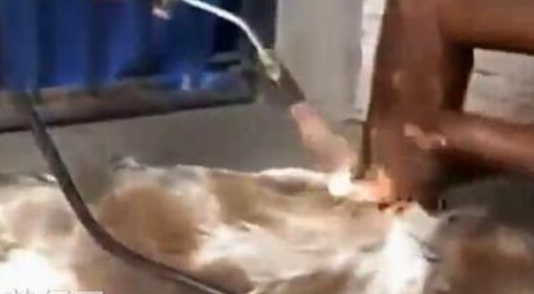 undefined{{pos:,w:,h:}}