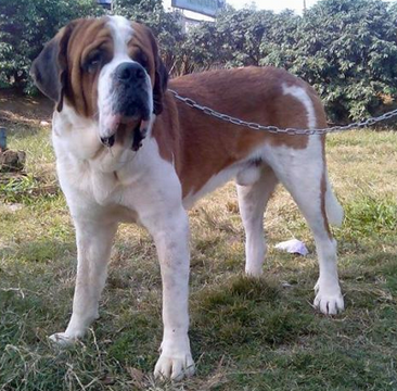 undefined{{pos:,w:,h:}}