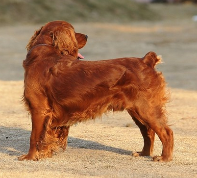 undefined{{pos:,w:,h:}}