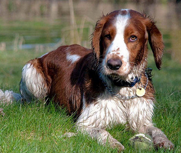 undefined{{pos:,w:,h:}}