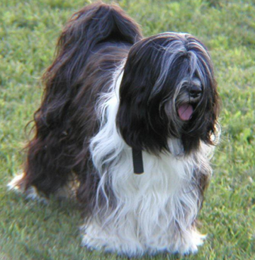 undefined{{pos:,w:,h:}}