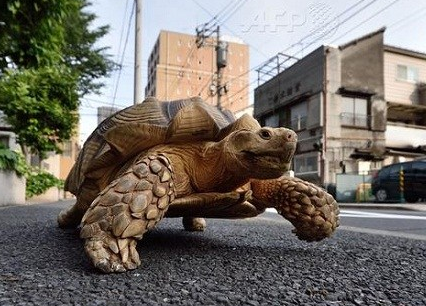 undefined{{pos:,w:,h:}}