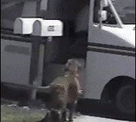 快乐狗狗取邮件