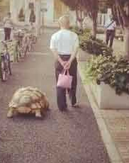 undefined{{pos:,w:,h:}}