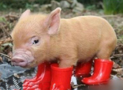 undefined{{pos:,w:,h:}}