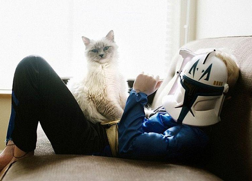 这叫老鼠爱上猫吗？