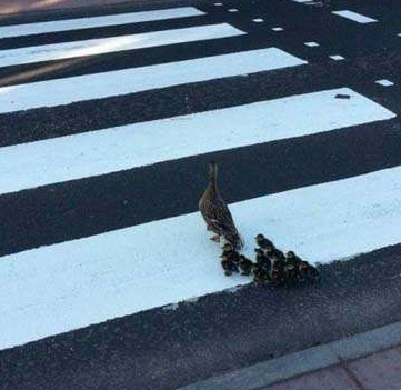 undefined{{pos:,w:,h:}}