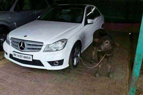 undefined{{pos:,w:,h:}}