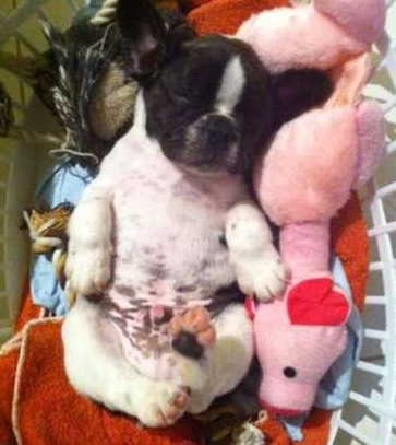 undefined{{pos:,w:,h:}}