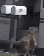 undefined{{pos:,w:,h:}}