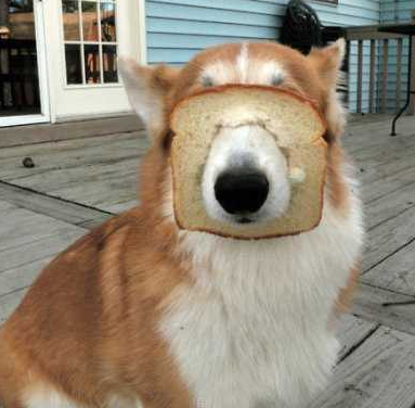 是时候穿秋裤了