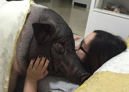 undefined{{pos:,w:,h:}}