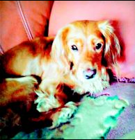 undefined{{pos:,w:,h:}}