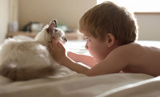 undefined{{pos:,w:,h:}}