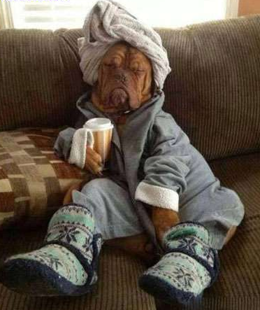 undefined{{pos:,w:,h:}}