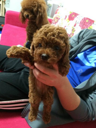 undefined{{pos:,w:,h:}}