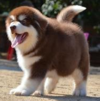 undefined{{pos:,w:,h:}}